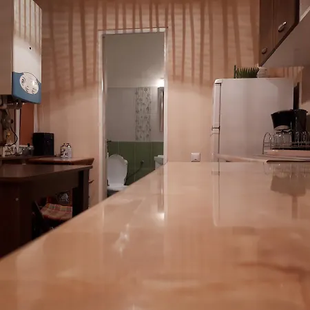 Apartament Central *
